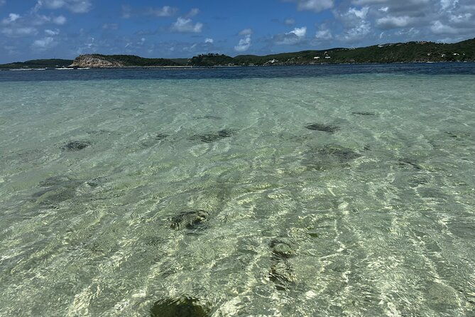 share-boat-trip-discover-green-island-and-sea-turtles-half-day