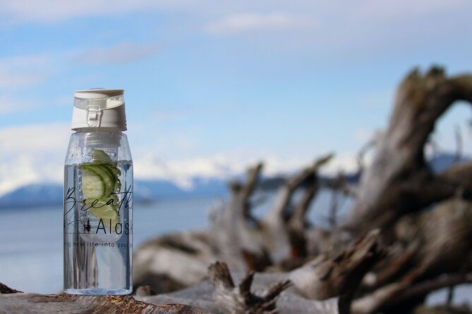 shared-mindfulness-in-wilderness-tour-from-alaska