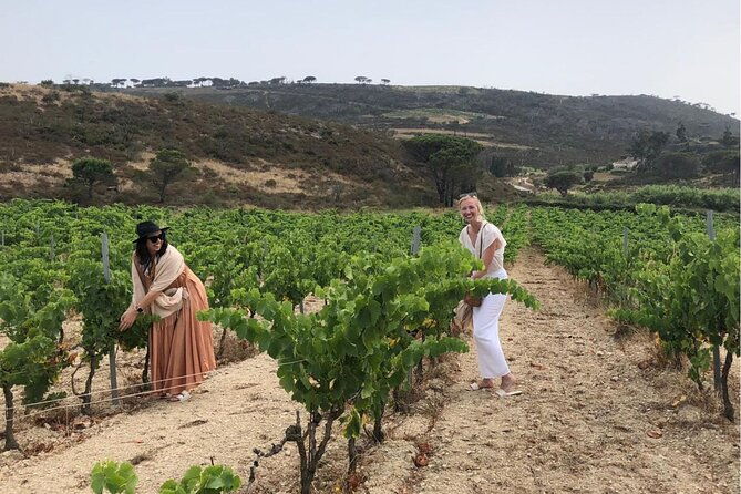 shared-tour-wine-tour-from-saint-tropez-2