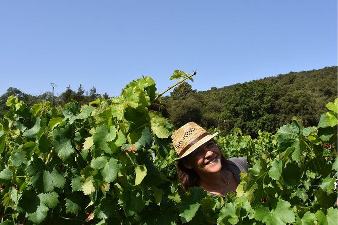 shared-tour-wine-tour-from-saint-tropez-4