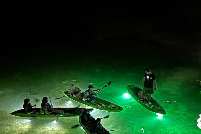sharkeys-glass-bottom-fish-feeding-led-night-tour-in-clearwater