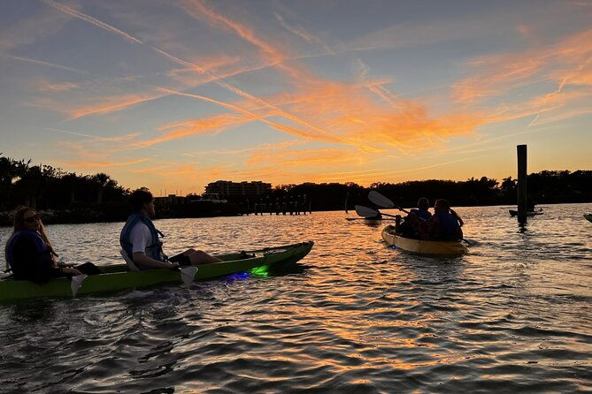 sharkeys-glass-bottom-fish-feeding-led-night-tour-in-sarasota