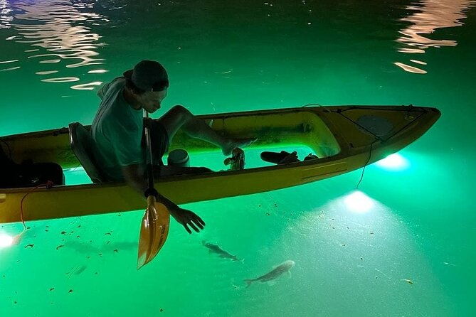 sharkeys-glass-bottom-fish-feeding-led-night-tour-st-pete-beach