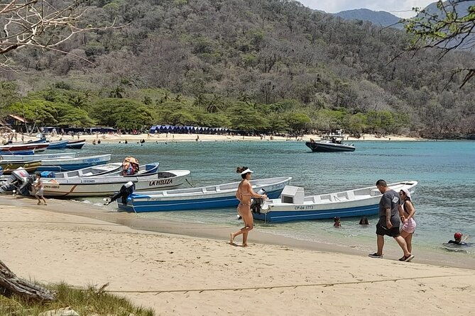 shell-bay-tour