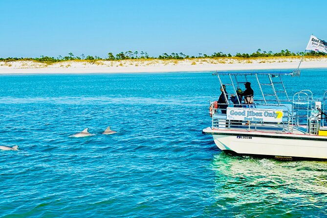 shell-island-dolphin-sightseeing-boat-tour-2