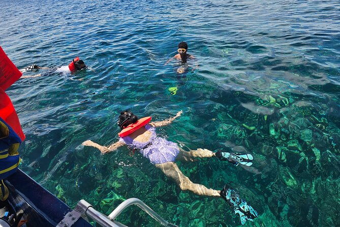 shore-excursion-roatan-zip-line-wildlife-eco-park-and-snorkel