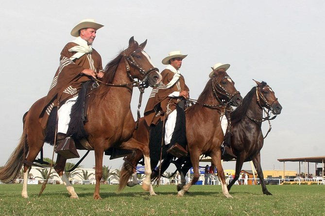 show-of-peruvian-paso-horse-marinera-with-lunch