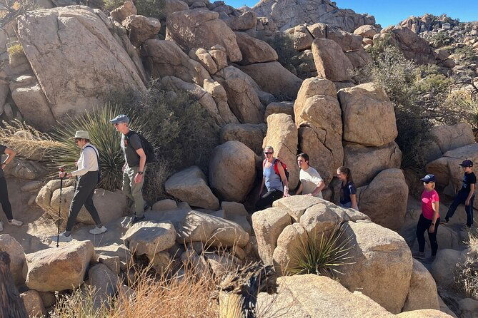 sightseeing-adventure-tour-of-joshua-tree-national-park-2