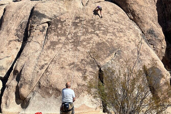 sightseeing-adventure-tour-of-joshua-tree-national-park