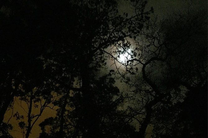 sintra-apparitions-and-stories-from-the-mountains-private-night-walk