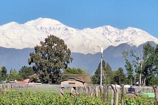 sip-savor-private-tour-of-three-charming-wineries