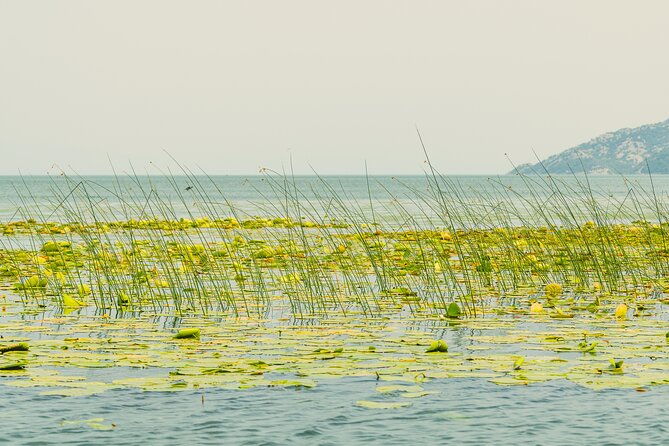skadar-lake-short-guided-tour-discover-the-montenegrin-alcatraz