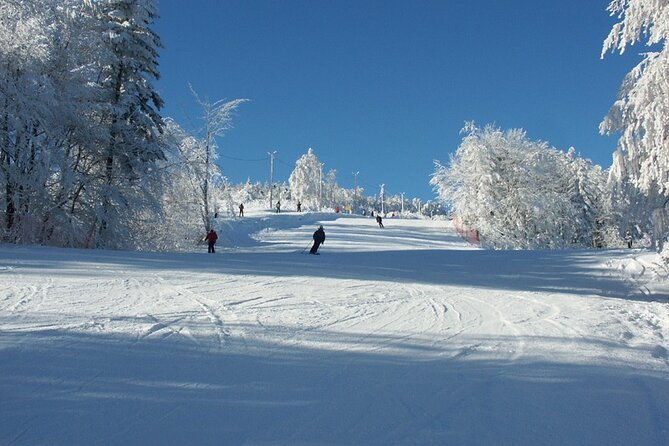 skiing-for-beginners-private-day-trip-from-krakow