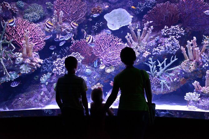 skip-the-line-antalya-aquarium-ticket