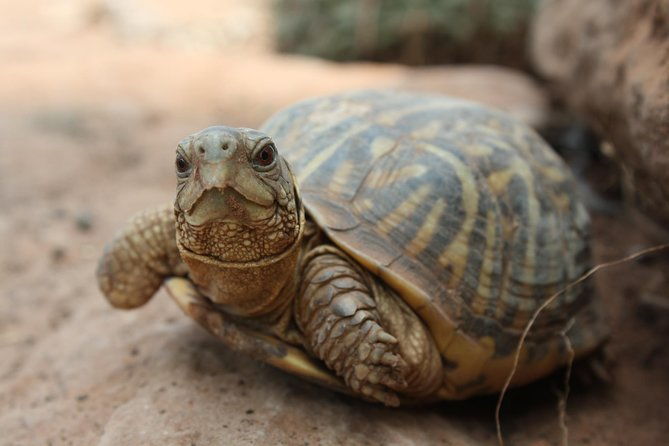 skip-the-line-general-admission-to-river-bend-nature-center-ticket