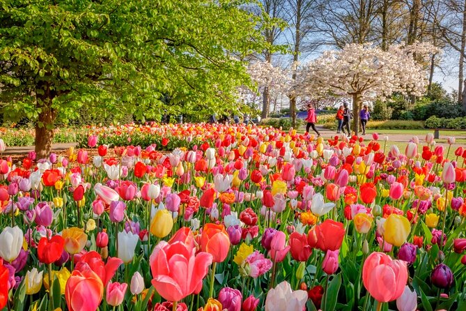 skip-the-line-keukenhof-gardens-and-tulip-fields-tour-from-amsterdam
