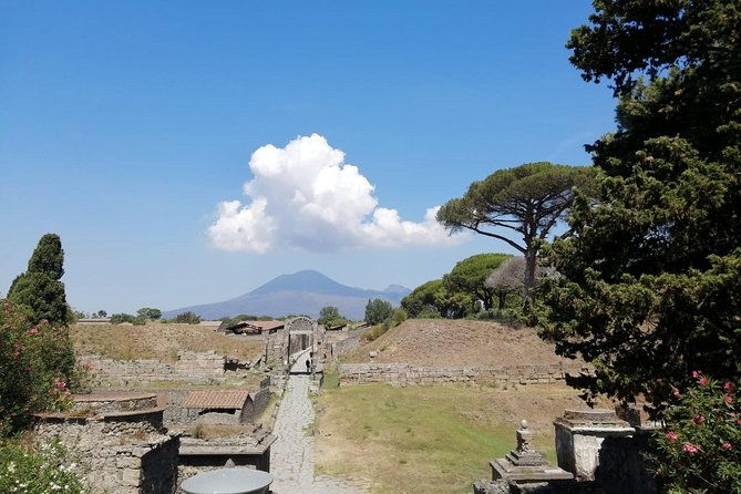 skip-the-line-pompeii-volcano-vesuvius-day-tour-w-hotel-or-port-pickup