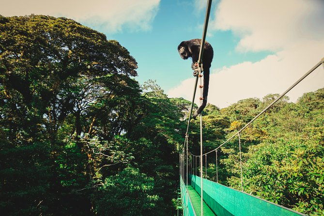 sky-walk-from-monteverde
