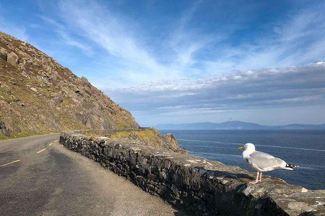 slea-head-photo-sightseeing-tour