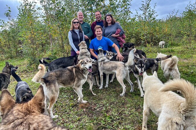 sled-dog-kennel-tour