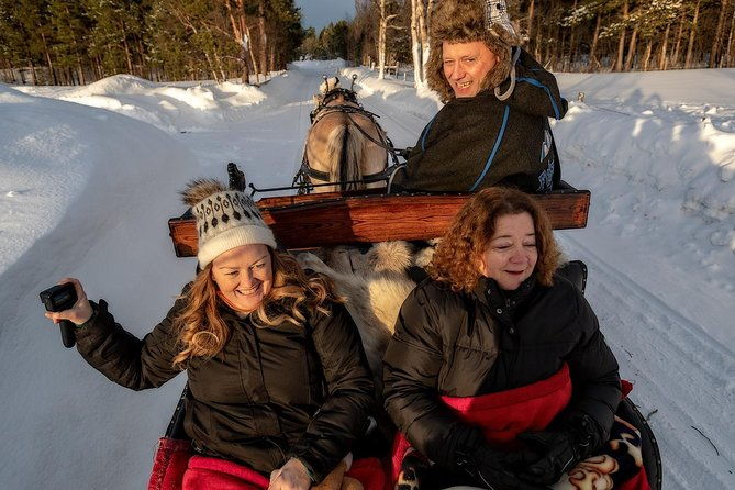 sleigh-ride-in-the-arctic-country-side