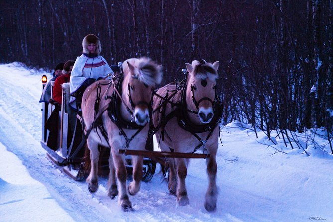 sleigh-ride-w-snacks-experience-arctic-farm-life