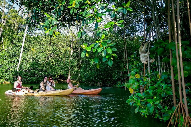 sloth-and-kayak-tour-in-punta-uva-beach-and-jungle