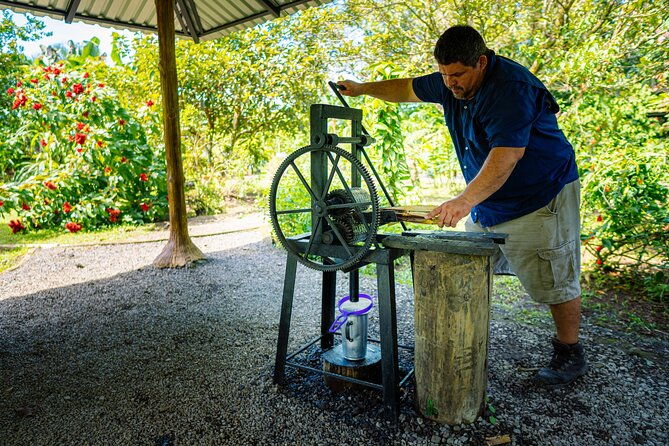 sloth-tour-in-la-fortuna-and-tortillas-cooking-class