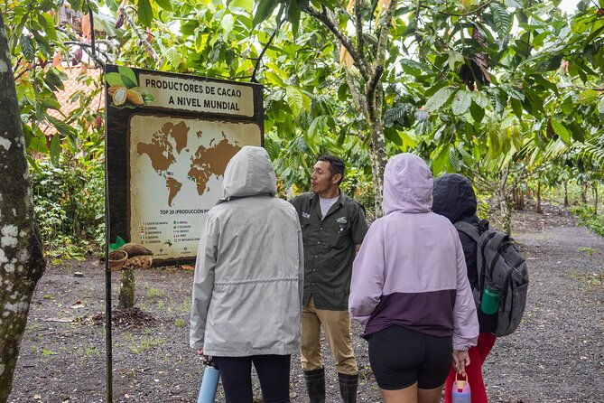 sloths-observation-and-coffee-chocolate-sugarcane-experience-2