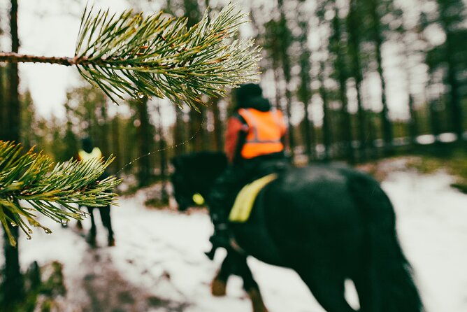 small-group-arctic-circle-horse-riding-from-rovaniemi