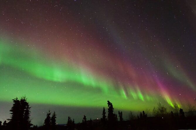 small-group-aurora-viewing-tour-with-free-photography