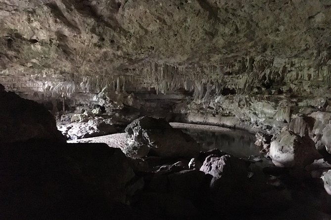 small-group-caracol-tour-from-san-ignacio