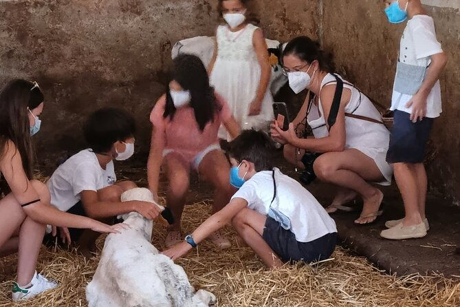 small-group-cheese-making-and-tasting-from-the-island-of-baleares