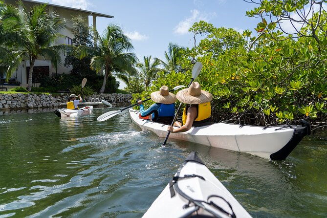 small-group-glass-bottom-kayak-adventure-cayman-islands