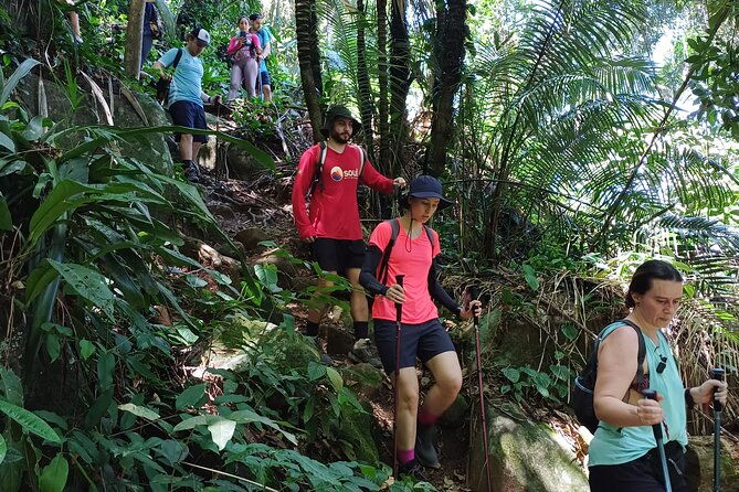 small-group-hike-to-saco-bravo-waterfall