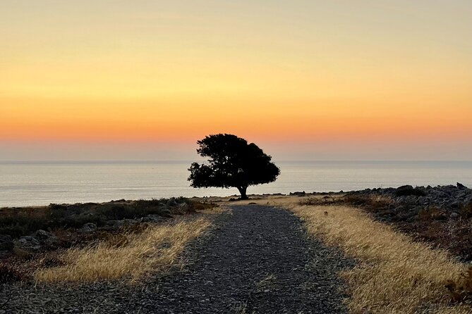 small-group-hiking-from-pefkos-to-navarone-bay-at-sunrise-2