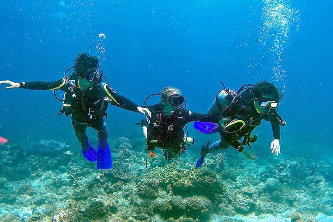 small-group-introductory-scuba-diving-in-pula