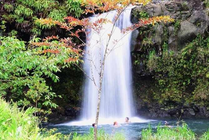 small-group-luxury-tour-road-to-hana-and-kaeleku-cavern-day-trip