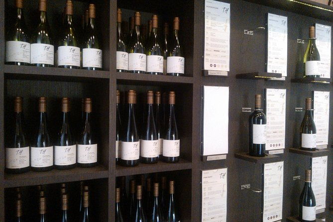 small-group-maipo-vineyards-full-day-experience-with-optional-lunch