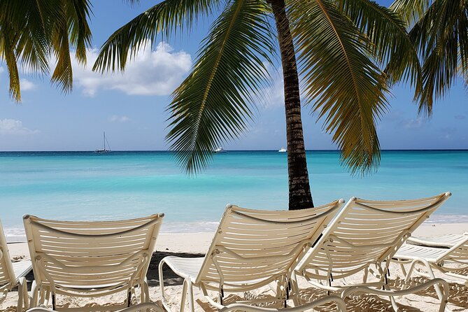small-group-saona-island-full-day-tour-2