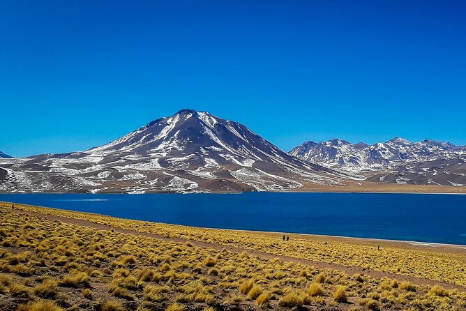 small-group-tour-altiplanic-lagoons-red-stones-flamingo-reserve