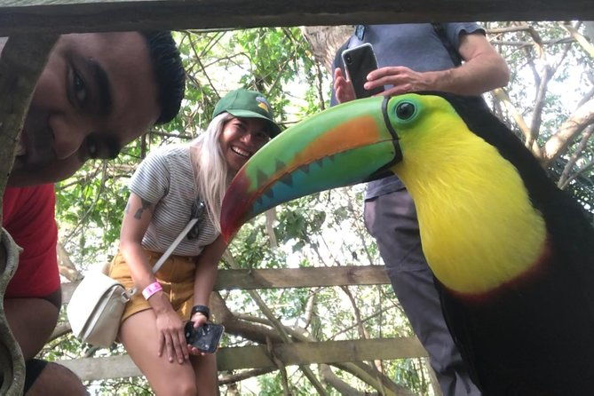 small-group-tour-to-the-aviary-from-cartagena