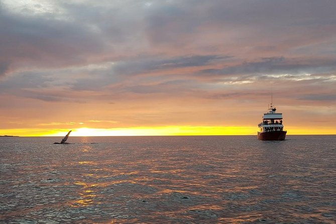 small-group-whale-watching-in-the-midnight-sun-from-reykjavik