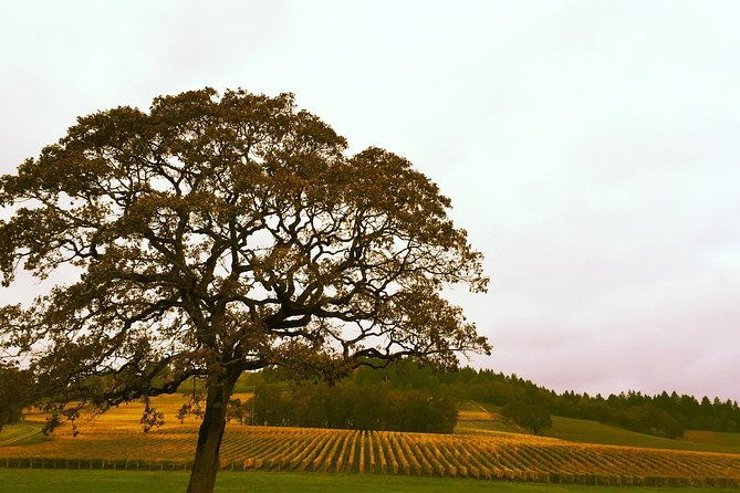 small-group-willamette-valley-wine-tour-from-portland-tasting-fees-included