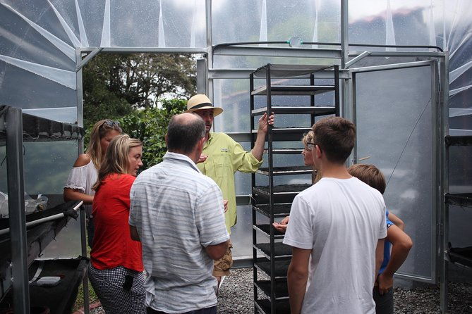 small-hands-on-coffee-tour