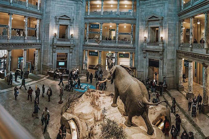 smithsonian-natural-history-american-history-semi-private-tour