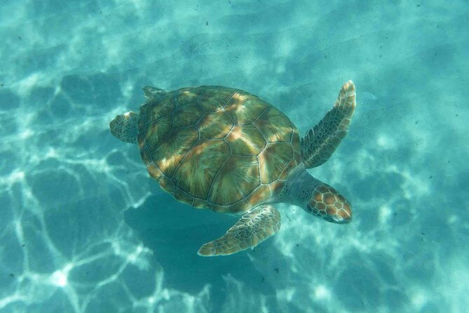 snorkel-and-beach-adventure-tour