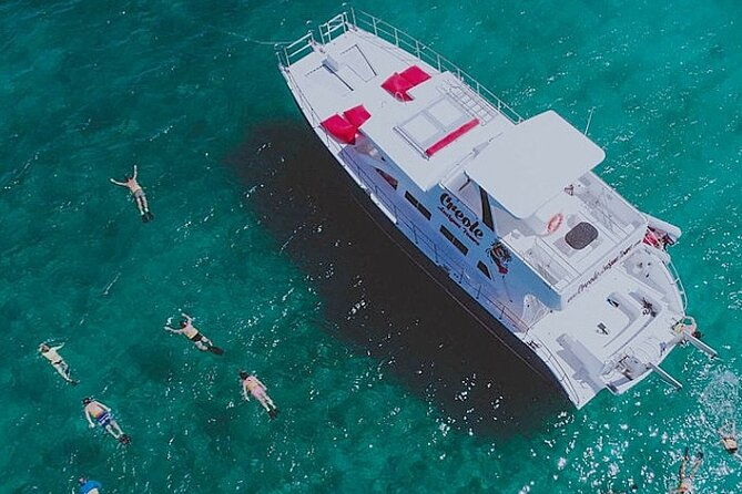snorkel-lobster-lunch-cruise-to-bird-island-and-paradise-reef