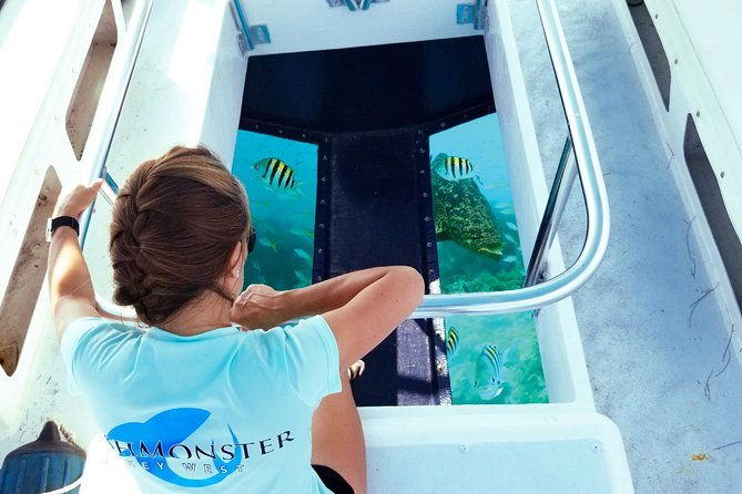 snorkel-sandbar-dolphin-excursion