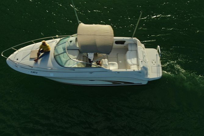 snorkel-sandbar-on-private-searay-yacht-25ft-in-cap-cana-marina-punta-cana